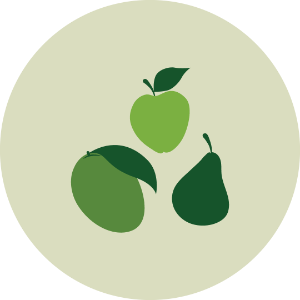 Fruit