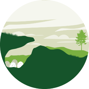 Burrow