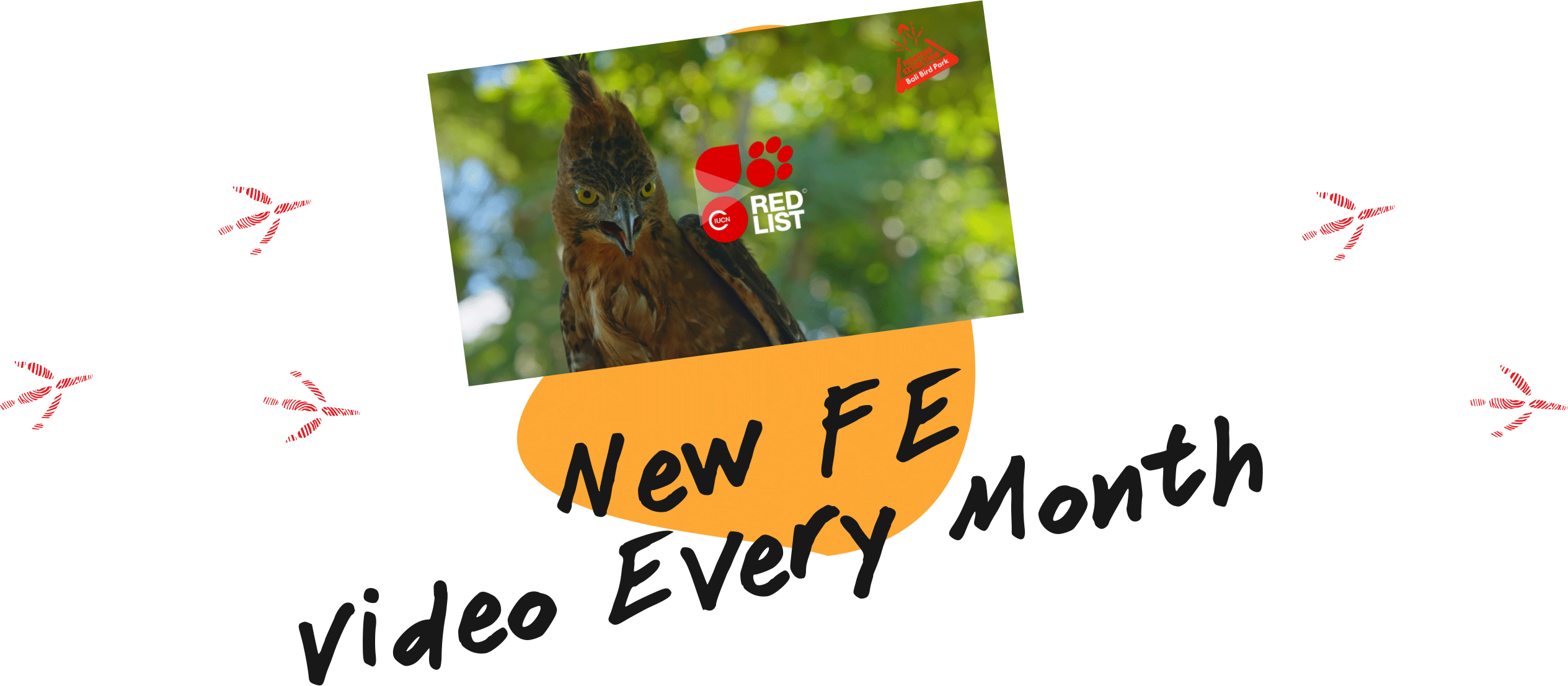 https://v2.balibirdpark.com/images/fe/join-form-button-fe